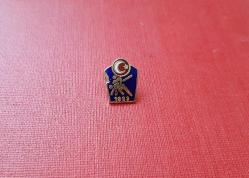 ESKİ - TÜRKİYE GÜREŞ FEDERASYONU  ROZETİ - MADALYA ( SICAK MİNELİ MODEL )  C1030