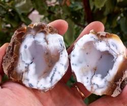 Polisajlı Dentritli Opal Merlinite Opal Çifti