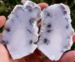 Polisajlı Dentritli Opal Merlinite Opal Çifti