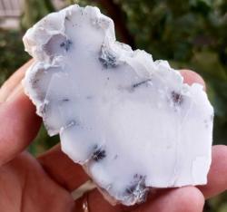 Polisajlı Dentritli Opal Merlinite Opal Çifti