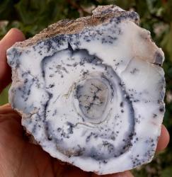 Polisajlı Dentritli Opal Merlinite Opal Çifti