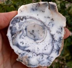 Polisajlı Dentritli Opal Merlinite Opal Çifti