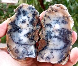 Polisajlı Dentritli Opal Merlinite Opal Çifti