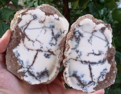 Polisajlı Dentritli Opal Merlinite Opal Çifti