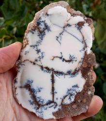 Polisajlı Dentritli Opal Merlinite Opal Çifti