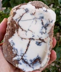 Polisajlı Dentritli Opal Merlinite Opal Çifti