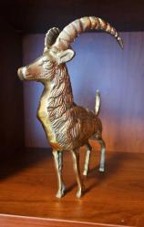 PİRİNÇ DAĞ KEÇİSİ