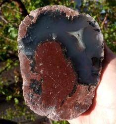 Polisajlı Mavi Thunderegg Akik Çifti Doğal Kütle