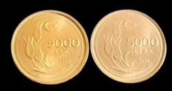 1995 5000 Lira Çil Kalın 2 Farklı Ton
