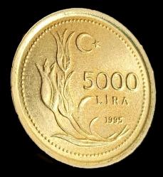 1995 5000 Lira Çil pirinç Kalın