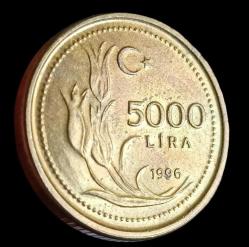 1996 5000 Lira Çil pirinç Kalın