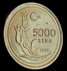 1996 5000 Lira Çil pirinç Kalın