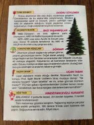 17 TEMMUZ 2020 - TAKVİM YAPRAĞI - DOĞUM GÜNÜ HEDİYESİ - BÜYÜK SAATLİ MAARİF TAKVİMİ - Tokat, Ali Paşa Camii - DOĞRU SÖYLEMEK - GÖKNAR - UÇAN TABAK - HİNDİSTANCEVİZLİ KURABİYE - 1955 - Dünyanın en ünlü eğlence parkı Disneyland, ABD'nin Kaliforniya eyaletinde açıldı - 1975 - ABD uzay aracı Apollo ile Sovyet uzay aracı Soyuz 19 uzayda kenetlendi