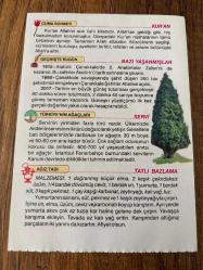 21 AĞUSTOS 2020 - TAKVİM YAPRAĞI - DOĞUM GÜNÜ HEDİYESİ - BÜYÜK SAATLİ MAARİF TAKVİMİ -Nevşehir, Kapadokya-1915 - Atatürk Çanakkale'de 2. Anafartalar Zaferi'ni de kazandı-1960 Çanakkale Şehitler Abidesi açıldı -2017 - Tarihin en büyük güneş tutulması gerçekleşti-TATLI BAZLAMA