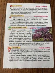 25 EYLÜL 2020 - TAKVİM YAPRAĞI - DOĞUM GÜNÜ HEDİYESİ - BÜYÜK SAATLİ MAARİF TAKVİMİ - Antalya, Kesik Minareli Cami - İNSAN İLİŞKİLERİ - ERGUVAN - HAVUÇ TATLISI - 1922 - Lapseki (Çanakkale) Yunan işgalinden kurtuldu - 1982- Türkiye'nin ilk kadın büyükelçisi Filiz Dinçmen, Amsterdam'da görevine başladı - 2011 - Türkiye'den ABD'ye kaçırılan 