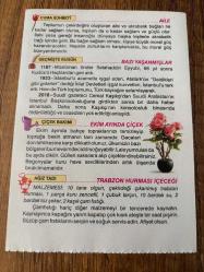 2 EKİM 2020 - TAKVİM YAPRAĞI - DOĞUM GÜNÜ HEDİYESİ - BÜYÜK SAATLİ MAARİF TAKVİMİ - İstanbul, Yeni Cami - AİLE - EKİM AYINDA ÇİÇEK - TRABZON HURMASI İÇECEĞİ - 1187 - Müslüman önder Selahaddin Eyyubi, 88 yıl sonra Kudüs'ü Haçlılardan geri aldı - 1923 - İstanbul'u azametle işgal eden, Atatürk'ün 