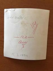 SİNEMA ve TİYATRO SANATÇISI LALE ORALOĞLU'NUN ORİJİNAL 2'Lİ FOTOĞRAF SETİ - 18 x 12 cm ve 12 x 11 cm EBADINDA - LALE ORALOĞLU TİYATRO SAHNESİNDE KIZLAR ve KURT KÖPEĞİ İLE, 10 MART 1974