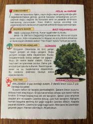 27 KASIM 2020 - TAKVİM YAPRAĞI - DOĞUM GÜNÜ HEDİYESİ - BÜYÜK SAATLİ MAARİF TAKVİMİ - AĞRI DAĞI - 1922 - Lalapaşa (Edirne), Yunan işgalinden kurtuldu -GÜRGEN - SUSAMLI KROKAN