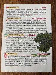 4 ARALIK 2020 - TAKVİM YAPRAĞI - DOĞUM GÜNÜ HEDİYESİ - BÜYÜK SAATLİ MAARİF TAKVİMİ - İstanbul, Küçük Ayasofya Camii -1989 - İstanbul Belediye Başkanı Nurettin Sözen şehrin içme suyuna kanalizasyon karıştığını açıkladı -DİŞBUDAK - ELMA TATLISI