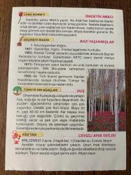 25 ARALIK 2020 - TAKVİM YAPRAĞI - DOĞUM GÜNÜ HEDİYESİ - BÜYÜK SAATLİ MAARİF TAKVİMİ - İSTANBUL - 1 - İsa peygamber doğdu.-  1921 - Gaziantep, İngiliz - Fransız işgalinden kurtuldu. - 1963 - Kıbrıslı Türkler seslerini duyurabilmek amacıyla Bayrak Radyosu'nu kurdular. - 1973 İsmet İnönü hayata veda etti.- 1995- Bir Türk ticaret gemisinin Kardak Kayalıklarında karaya oturması Türkiye ile Yunanistan arasında krize neden oldu.-CEVİZLİ AYVA TATLISI