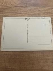 Kuğu fotoğrafı bilger kartpostal 15x10ebatında