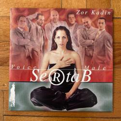SERTAB ERENER (FT. VOICE MALE) * ZOR KADIN - SIR * 1999 BELÇİKA BASKI SINGLE CD