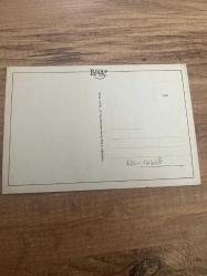 Kırmızı gül fotoğrafı bilger  kartpostal 15x11 ebatında