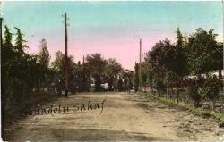 Ağaçlar İçinde Toplu Aile Fotoğrafı / Zafer İkbal Fotoğrafhanesi, Adapazarı