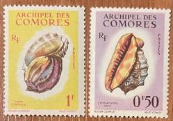 DENİZ KABUKLULARI TEMA.KOMOR 2  PUL.DAMGASIZ