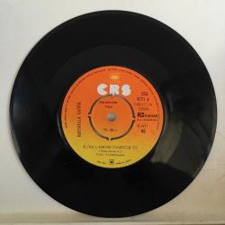 Raffaella Carra / Puisque tu l'aimes dis le lui - A far l'amore comincia tu / Turkey 1977 45'lik / *pop*