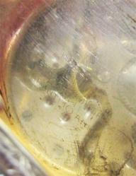 AnTiKa ERIC Watch ALTIN KAPLAMA KURMALI CeP SaaTi...