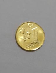1 Kuruş 2023 - Türkiye (ÇİL)