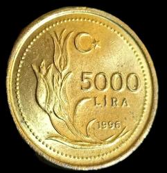1996 5000 Lira Çil kalın