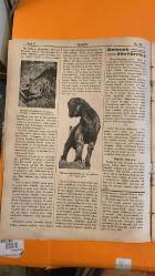 7 YEDİGÜN DERGİSİ-7 AĞUSTOS 1935 - LUDWIG V. KIMMER - SEDAD SIMAVI - EDHEM İZZET BENICE - KADİRCAN - FOTO ETEM - FOTO ALİ  HORASAN ORMANLARINDA PANTER AVI - KÜRD AVCILARIN GELENEKSEL SİLAHLARI - GECE ORMANDA VAHŞİ HAYVAN SESLERİ - YEDİGÜN DERGİSİ 7 AĞUSTOS 1935 - DENİZ SAYISI HAZIRLIĞI - RENKLİ PLAJ FOTOĞRAFLARI - YAŞAMAK ZEVKİ ÖZEL SAYISI - DAKTİLO ROMANI DUYURUSU - FOYA ROMANININ BİTİŞİ  -   LUDWIG V. KIMMER - SEDAD SIMAVI  HORASAN ORMANLARINDA PANTER AVI - JAPON KÜLTÜRÜNDE KIZLARIN ASKERİ EĞİTİMİ - DENİZ DİBİNDE ÇEVRİLEN FİLM - RUS MÜHENDİSİN UÇMA DENEYİ - YEDİGÜN DERGİSİ 7 AĞUSTOS 1935 - HEDİYE KAZANAN NUMARALAR - SİNEMACILIKTA YENİ BİR DÖNEM - JAPONCA ÖĞRENMENİN ZORLUĞU - KONFÜÇYÜS AHLAKIYLA EĞİTİM - MİKADO’YA SAYGI VE VATANSEVERLİK- 27 SAYFA