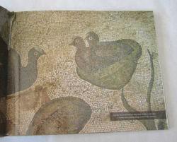 Haleplibahçe Mozaikleri / Haleplibahçe Mosaics