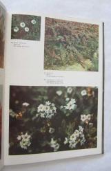 The Nature of Central Asia Through the Objektive [TACİKCE - RUSÇA - İNGİLİZCE]