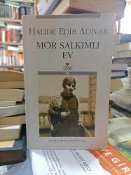 MOR SALKIMLI EV 1. BASKI