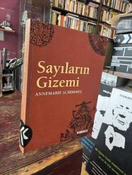 SAYILARIN GİZEMİ