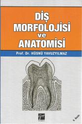 Diş Morfolojisi ve Anatomisi