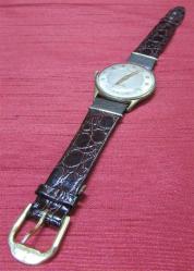 AnTiKa VETUR KuRMaLı KOL SAATİ.....