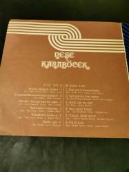Neşe Karaböcek As plak 1003 plak lp