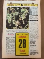 28 AĞUSTOS 1979 - TAKVİM YAPRAĞI - DOĞUM GÜNÜ HEDİYESİ - HÜRRİYET TAKVİMİ - PİS BİR İŞ ROMANI - Etyopya (Habeşistan) eski hükümdarı Haile Selasiye'nin ölümü (1975)
