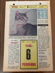 6 EYLÜL 1979 - TAKVİM YAPRAĞI - DOĞUM GÜNÜ HEDİYESİ - HÜRRİYET TAKVİMİ - PİS BİR İŞ ROMANI - Büyük Lice depremi 3.000 ölü (1975) - İstanbul ve İzmir'de 6/7 Eylül olayları (1955) - Kurtuluş Günü: Balıkesir Balya, Gönen, Savaştepe, Söke, Bursa-Yenişehir ve İnegöl, Manisa-Akhisar ve Ahmetli