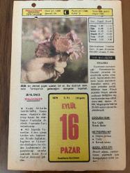16 EYLÜL 1979 - TAKVİM YAPRAĞI - DOĞUM GÜNÜ HEDİYESİ - HÜRRİYET TAKVİMİ - PİS BİR İŞ ROMANI - İzmir'in ilçesi Çeşme'nin 