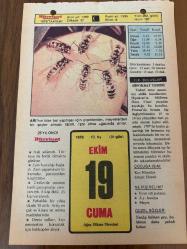 19 EKİM 1979 - TAKVİM YAPRAĞI - DOĞUM GÜNÜ HEDİYESİ - HÜRRİYET TAKVİMİ - HAREM'İN SIRRI ROMANI - Eski Başbakanlardan Semsettin Günaltay'ın ölümü (1961) - Ankara Tıp Fakültesi'nin açılışı (1925) - 2. Murat'ın Kosova zaferi (1448)