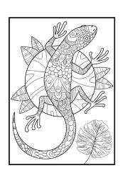 Sürüngen Hayvanlar Mandala Boyama Kitabı (48 Mandala)