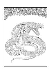 Sürüngen Hayvanlar Mandala Boyama Kitabı (48 Mandala)
