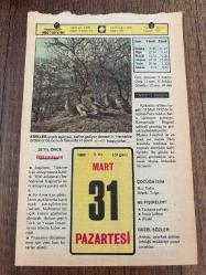 31 MART 1980 - TAKVİM YAPRAĞI - DOĞUM GÜNÜ HEDİYESİ - HÜRRİYET TAKVİMİ - VASİYETNAME ADLI ROMAN - Gelir, radyo ve TV vergilerinin son günü - Muş'un ilçesi Varto ve Van'ın ilçesi Gevaş'ın kurtuluşu