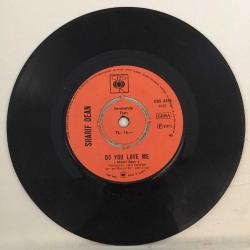 Sharif Dean / Do you love me - In the summer holidays / Turkey 1973 / 45'lik plak / *pop*