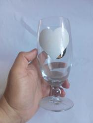 Troy pilsener bira kadeh bardak